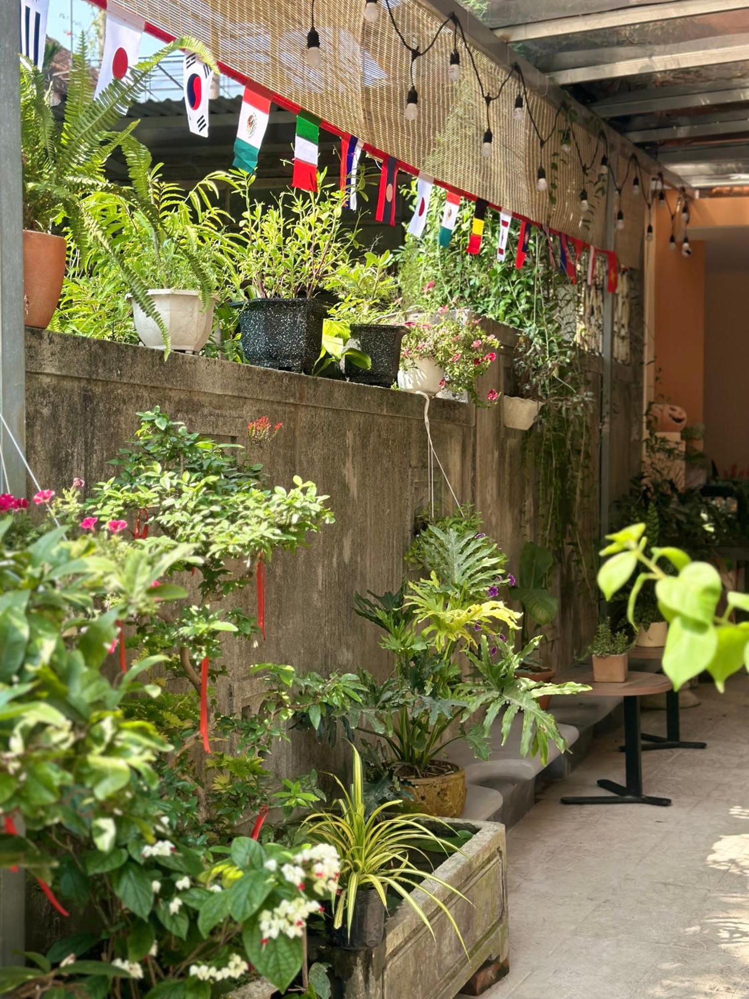 Chi'S Homestay & Coffee Hué Extérieur photo